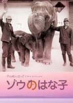 Zou no Hanako Japanese Drama photo