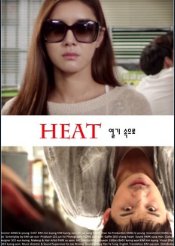 Heat (2013) poster