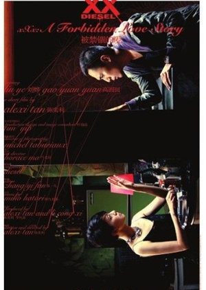 XXx A Forbidden Love Story (2008) poster