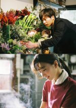 Mellow Japanese Movie photo