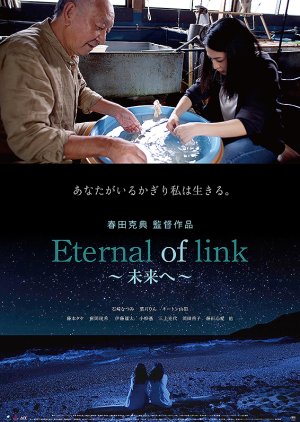 Eternal of Link: To the Future (2022) poster