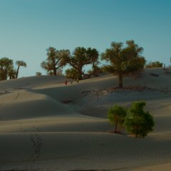 A First Farewell Chinese Movie photo