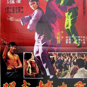 Supergirl of Kung Fu (1975)
