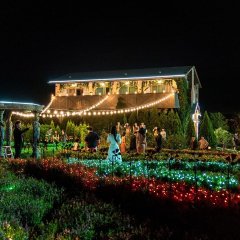 Missing: The Other Side (2020) photo