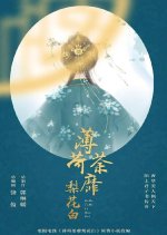 Endless Love Chinese Drama(0000) photo