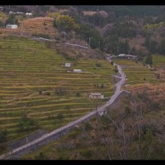 Eriko, Pretended Japanese Movie photo