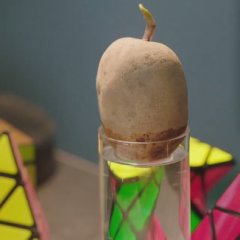 Crazy Love Korean Drama photo