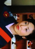 Hakone Yugawara Onsen Koban 2: Meoto Tsubaki no Namida Japanese Drama photo