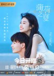 Summer Again chinese drama review