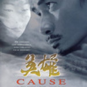 Cause - Birth of Hero (2002)
