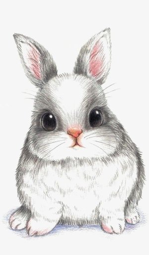 LilBunny