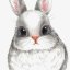 LilBunny