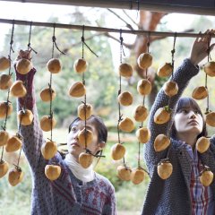 Little Forest: Summer & Autumn (2014) photo