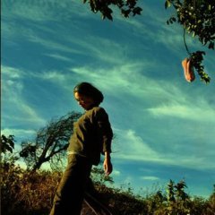 The Sun Also Rises Chinese Movie photo