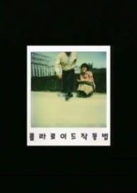 How to Operate a Polaroid Camera Korean Movie photo