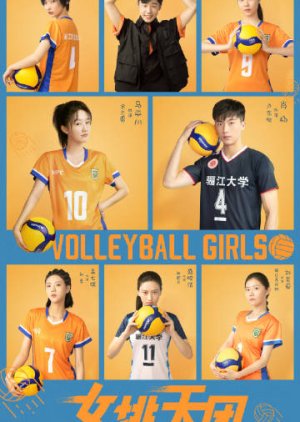 Volleyball Girls () poster