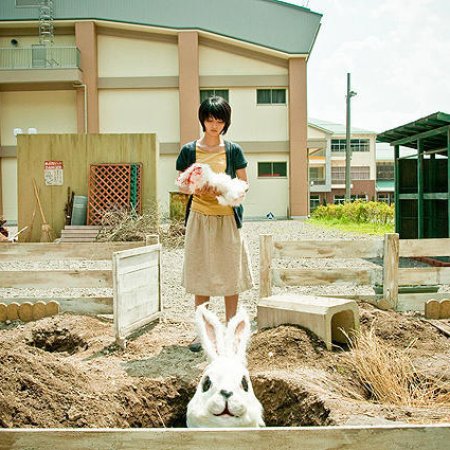 Rabbit Horror 3D (2011)