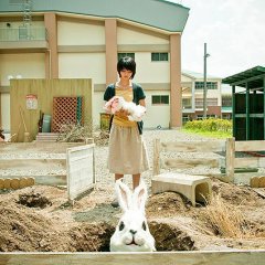 Rabbit Horror 3D Japanese Movie photo