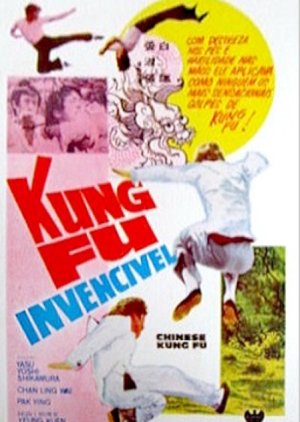 Chinese Kung Fu (1973) poster