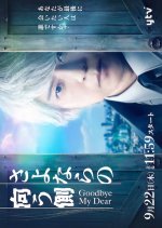 Goodbye, My Dear Japanese Drama photo