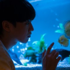 Mama’s Affair Hong Kong Movie photo