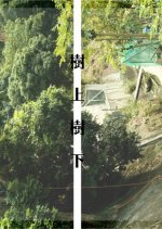 Above, Below Hong Kong Movie photo