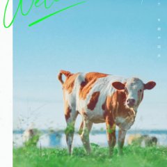 Chinese Restaurant Season 6 Chinese TV Program photo