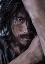 The Hidden Sword Chinese Movie photo