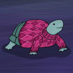 TurtleInASweater