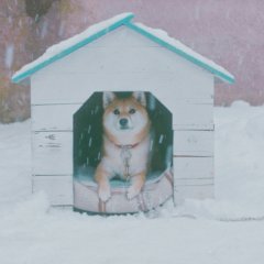 My Sunshine Japanese Movie(2024) photo