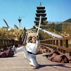 The New One-Armed Swordsman Hong Kong Movie photo