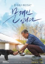 This Is the President Korean Movie photo