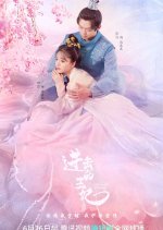 Attack On! Princess Chinese Drama photo