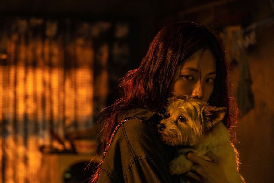 Mask Girl Photos 4306449 MyDramaList