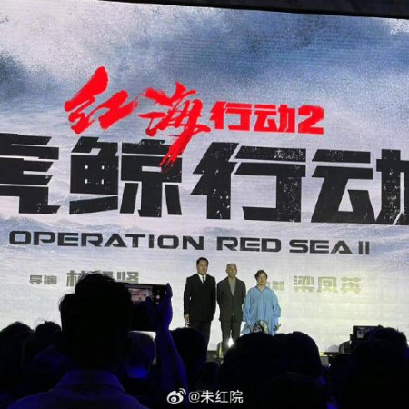 Operation Red Sea 2 (2025)