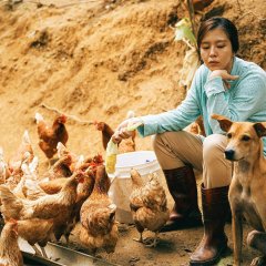 Salli Taiwanese Movie photo