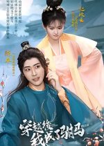 After Crossing I Became the Son-in-Law Chinese Drama photo