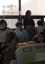 Birds Fly Back to the Nest Korean Movie photo