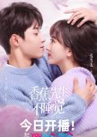 Mr. Insomnia Waiting for Love chinese drama review