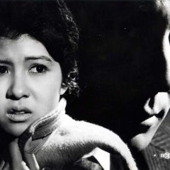 The Hunter’s Diary Japanese Movie photo