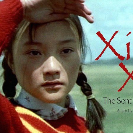 Xiu Xiu: The Sent Down Girl (1998)