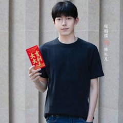 The Remarriage Era Chinese Drama photo