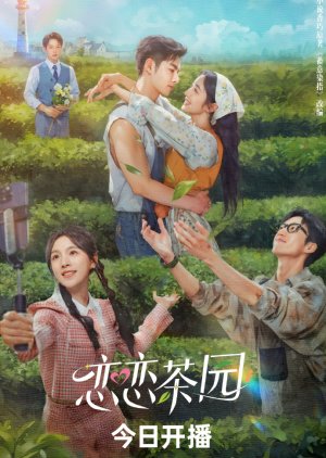 Love in the Tea Garden (2024) poster