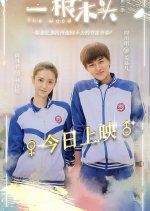 The Wood Season 2 Chinese Drama photo