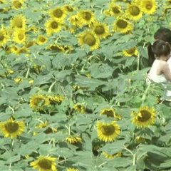 Be With You Japanese Movie photo