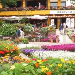 A Gentleman's Dignity Korean Drama photo