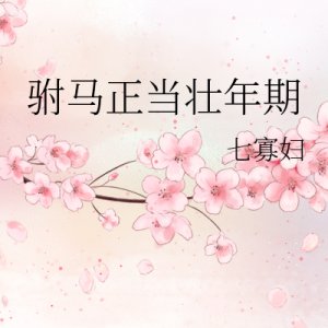 Fu Ma Zheng Dang Zhuang Nian Qi ()