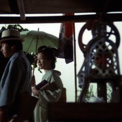 Beast in the Shadows Japanese Movie photo