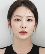 Choi Hyo Zu