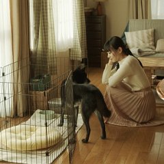 The Sound of Grass Japanese Movie photo